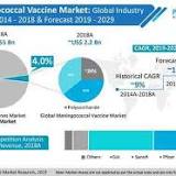 Meningococcal vaccine