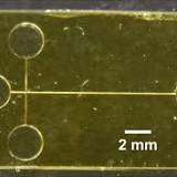 Biomarker