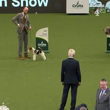 Crufts