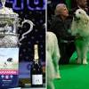 Crufts 2020