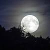 Full moon March 2020