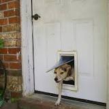 Pet door