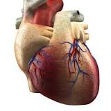 Hypertrophic cardiomyopathy