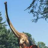 sauropod