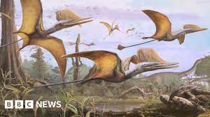 Pterosaur