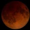 Total lunar eclipse Blood Moon