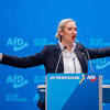 Alice Weidel